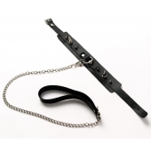 Черный ошейник с шипами и поводком - Crazy Handmade - купить с доставкой в Иваново