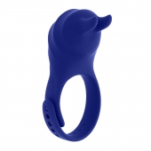 Синее эрекционное виброкольцо с клиторальной подушечкой и пультом ДУ Adjustable Fun Ring - Zero Tolerance - в Иваново купить с доставкой