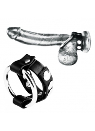 Регулируемое металлическое кольцо на пенис с ремешком - BlueLine - купить с доставкой в Иваново