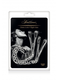 Регулируемые зажимы для сосков Sweet Caress Nipple Chain - Sweet Caress - купить с доставкой в Иваново