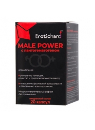 Капсулы для мужчин Erotichard male power с пантогематогеном - 20 капсул (0,370 гр.) - Erotic Hard - купить с доставкой в Иваново