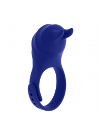 Синее эрекционное виброкольцо с клиторальной подушечкой и пультом ДУ Adjustable Fun Ring - Zero Tolerance - в Иваново купить с доставкой