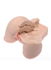 Мастурбатор-полуторс Naked Factory Kate - Naked Factory - в Иваново купить с доставкой