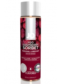 Лубрикант на водной основе с ароматом малины JO Flavored Raspberry Sorbet - 120 мл. - System JO - купить с доставкой в Иваново