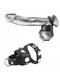 Утяжка для мошонки и пениса Cock Ring With 1  Ball Stretcher And Optional Weight Ring - BlueLine - купить с доставкой в Иваново