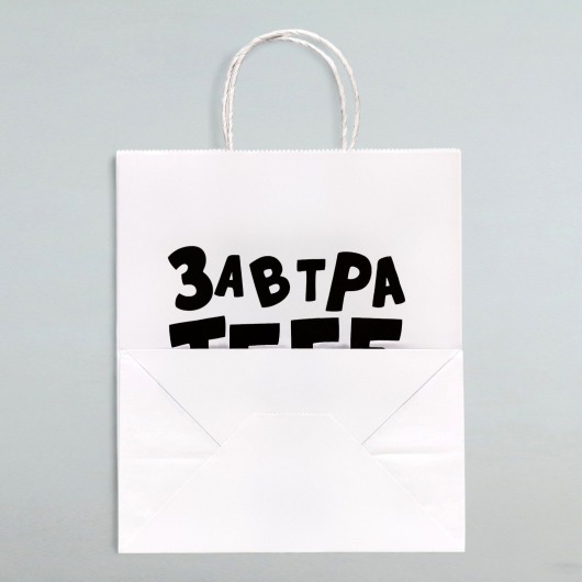 Подарочный пакет  Завтра тебе будет стыдно  - 30 х 24 см. - UPAK LAND - купить с доставкой в Иваново