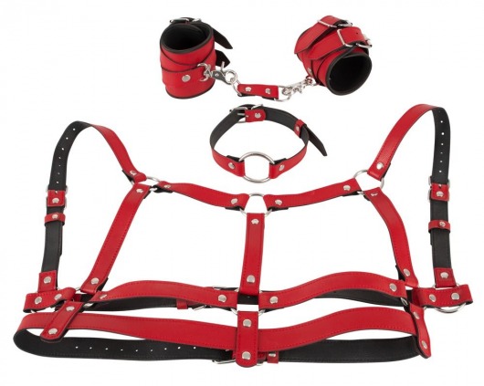Красный комплект БДСМ-аксессуаров Harness Set - Orion - купить с доставкой в Иваново