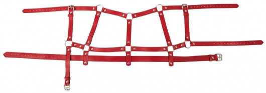 Красный комплект БДСМ-аксессуаров Harness Set - Orion - купить с доставкой в Иваново