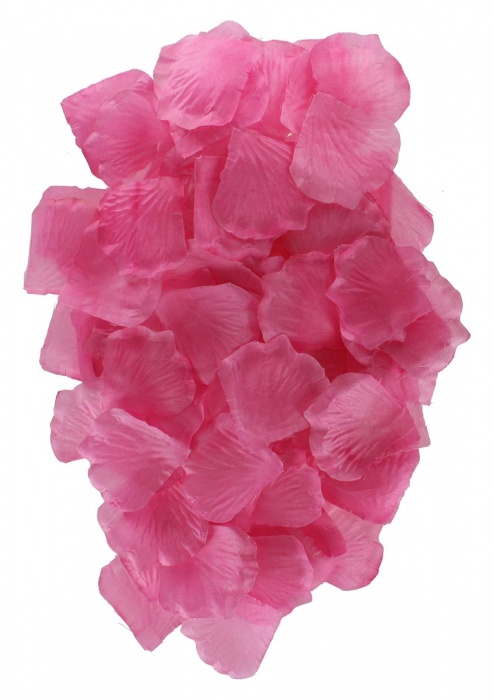 Эротический набор FANTASTIC PURPLE SEX TOY KIT - Toy Joy - купить с доставкой в Иваново