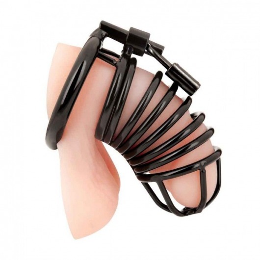 Черная металлическая клетка с замком Deluxe Chastity Cage - BlueLine - купить с доставкой в Иваново