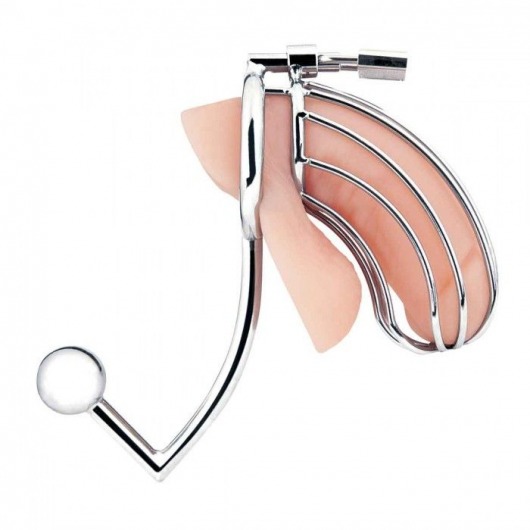 Серебристая металлическая клетка с анальным стимулятором Cock Cage - BlueLine - купить с доставкой в Иваново