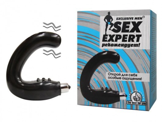 Чёрный массажёр простаты серии Sex Expert - Sex Expert - в Иваново купить с доставкой