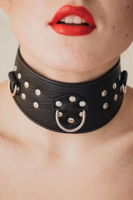 Кожаный ошейник для эротических игр - БДСМ Арсенал - купить с доставкой в Иваново