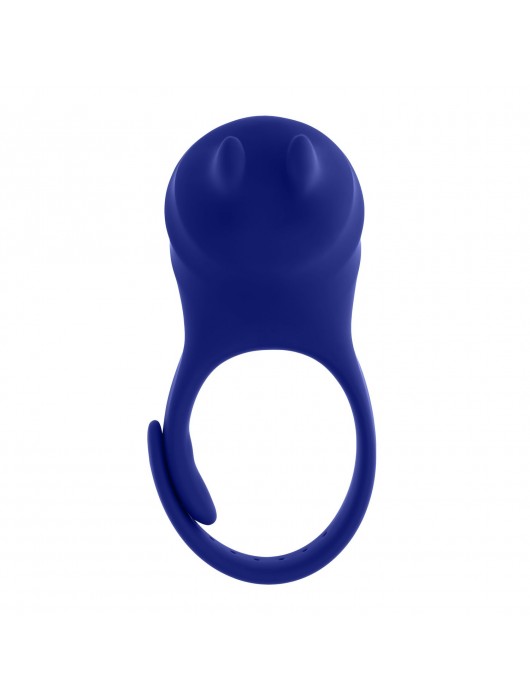 Синее эрекционное виброкольцо с клиторальной подушечкой и пультом ДУ Adjustable Fun Ring - Zero Tolerance - в Иваново купить с доставкой