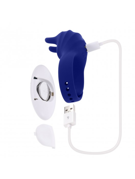 Синее эрекционное виброкольцо с клиторальной подушечкой и пультом ДУ Adjustable Fun Ring - Zero Tolerance - в Иваново купить с доставкой