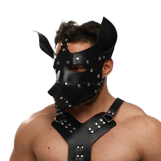 Черная кожаная маска «Собака» - Crazy Handmade - купить с доставкой в Иваново Черная кожаная маска «Собака» - Crazy Handmade - купить с доставкой в Иваново