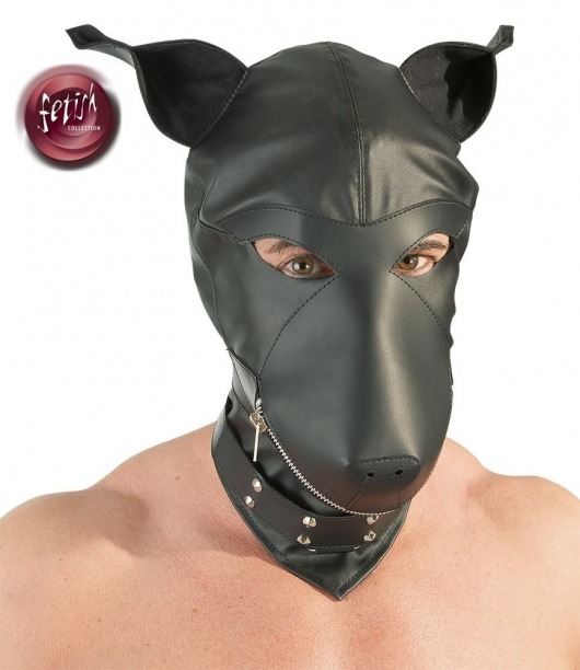 Шлем-маска Dog Mask в виде морды собаки - Orion - купить с доставкой в Иваново