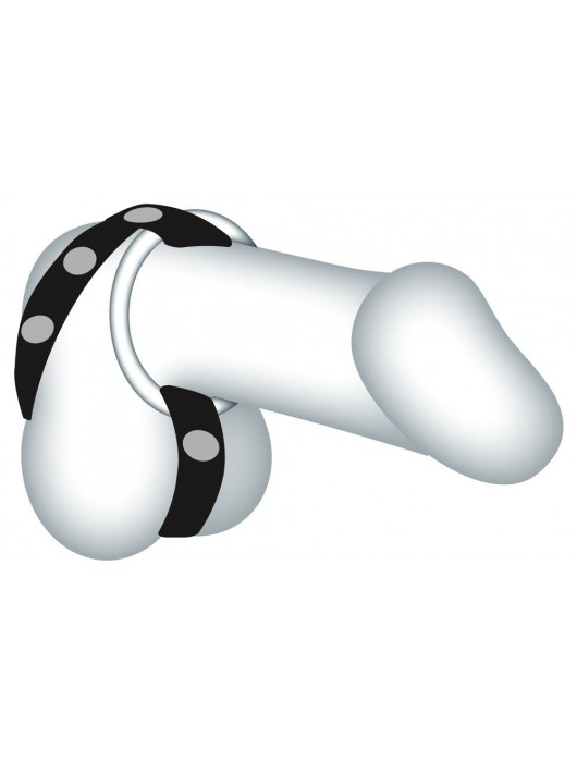 Подхват для мошонки с 3 съемными эрекционными кольцами Leder-Riemen - Orion - в Иваново купить с доставкой