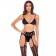 Эротический комплект 3 Piece Sheer Striped Bra Thong   Garter Belt Set - Rene Rofe купить с доставкой