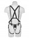 Страпон-система с телесной насадкой 12  Hollow Strap-On Suspender System - 30 см. - Pipedream - купить с доставкой в Иваново